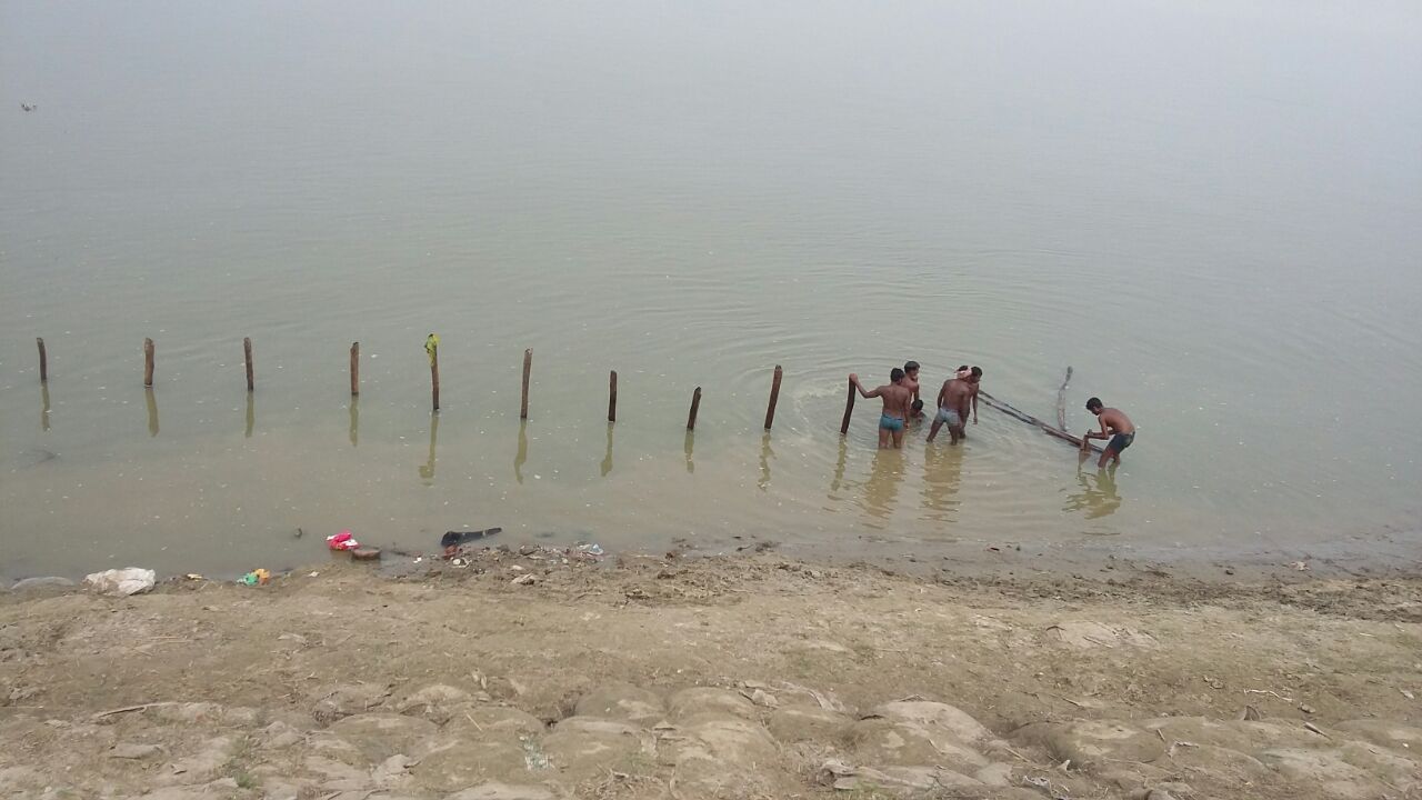 Image1